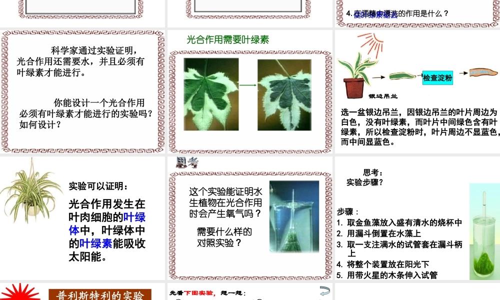 八年级科学上册 2.5光合作用课件 浙教版