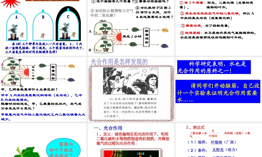 八年级科学上册 2.5光合作用课件 浙教版