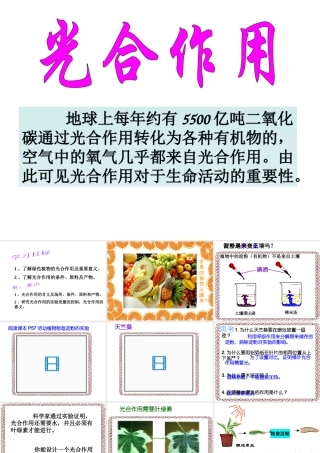 八年级科学上册 2.5光合作用课件 浙教版