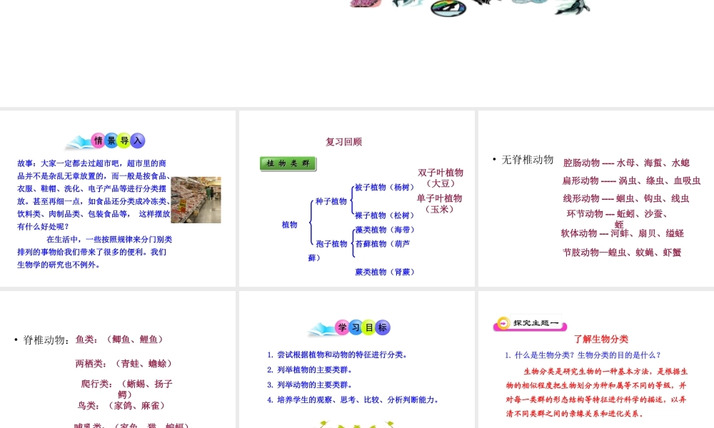 八年级生物下册 第22章 第一节 生物的分类课件4 （新版）北师大版