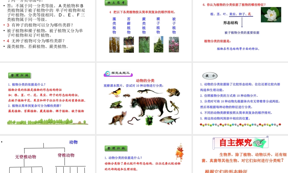 八年级生物下册 第22章 第一节 生物的分类课件4 （新版）北师大版