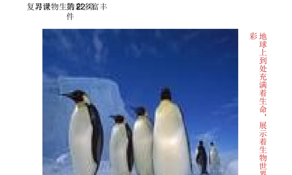 八年级生物下册 第22章《丰富多彩的生物世界》课件 苏教版