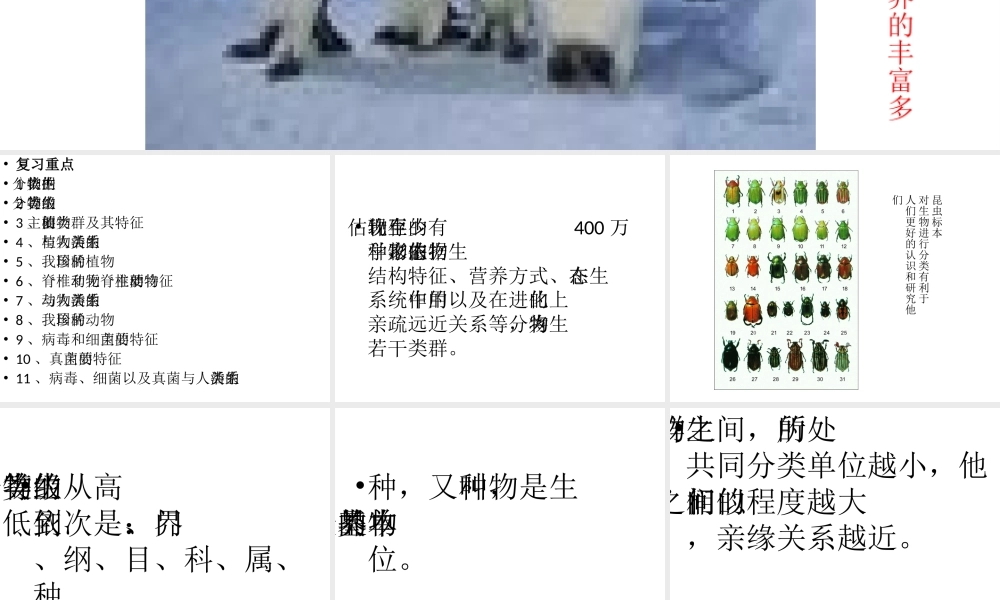 八年级生物下册 第22章《丰富多彩的生物世界》课件 苏教版