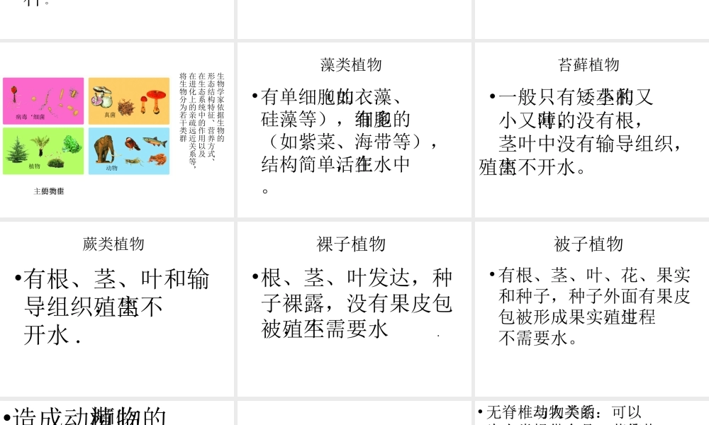 八年级生物下册 第22章《丰富多彩的生物世界》课件 苏教版