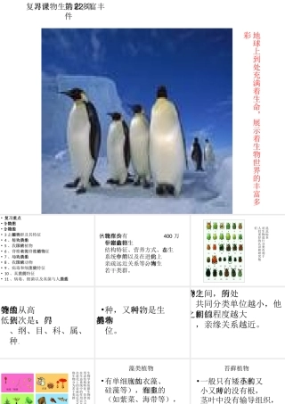 八年级生物下册 第22章《丰富多彩的生物世界》课件 苏教版