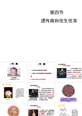 八年级生物下册 第八单元 生物的生殖、发育与遗传 第二十二章 生物的遗传和变异 第四节 遗传病和优生优育课件2（新版）苏教版-（新版）苏教级下册生物课件