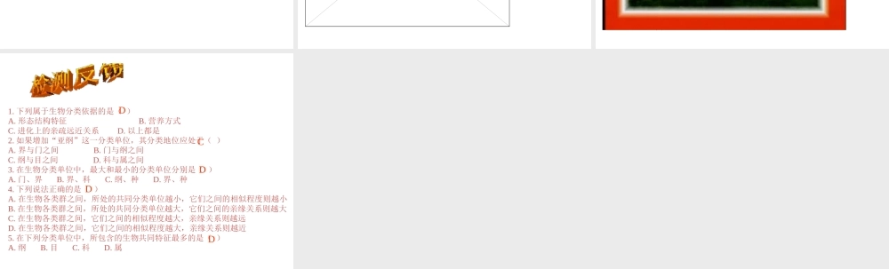 八年级生物下册 第22章第1节《生物的分类》课件 苏教版