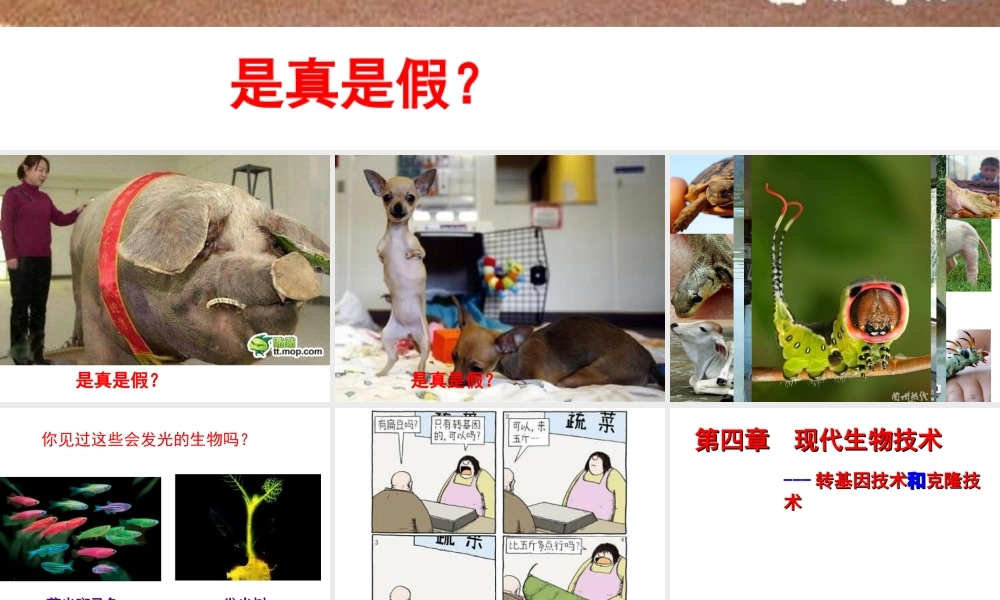 八年级生物下册 第6单元 第4章 现代生物技术课件 （新版）冀教版-（新版）冀教级下册生物课件