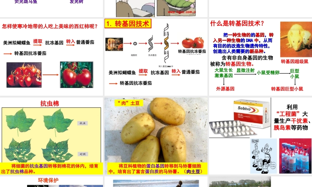 八年级生物下册 第6单元 第4章 现代生物技术课件 （新版）冀教版-（新版）冀教级下册生物课件