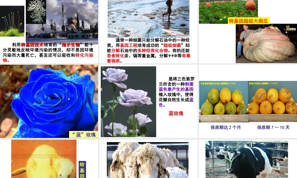 八年级生物下册 第6单元 第4章 现代生物技术课件 （新版）冀教版-（新版）冀教级下册生物课件