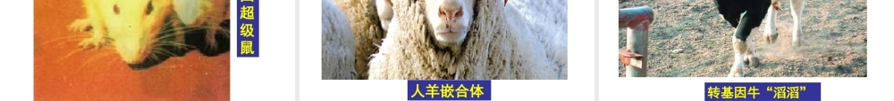 八年级生物下册 第6单元 第4章 现代生物技术课件 （新版）冀教版-（新版）冀教级下册生物课件