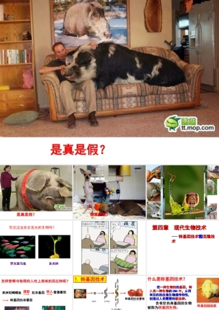 八年级生物下册 第6单元 第4章 现代生物技术课件 （新版）冀教版-（新版）冀教级下册生物课件