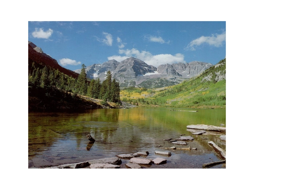 八年级生物下册 第22章第2节《五彩缤纷的植物世界》课件 苏教版