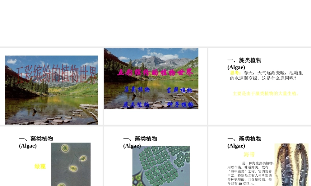 八年级生物下册 第22章第2节《五彩缤纷的植物世界》课件 苏教版