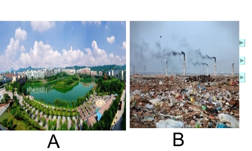 八年级生物下册 第6章 城市生态 6.1 城市生态与城市环境保护-城市环境保护课件 沪教版-沪教级下册生物课件