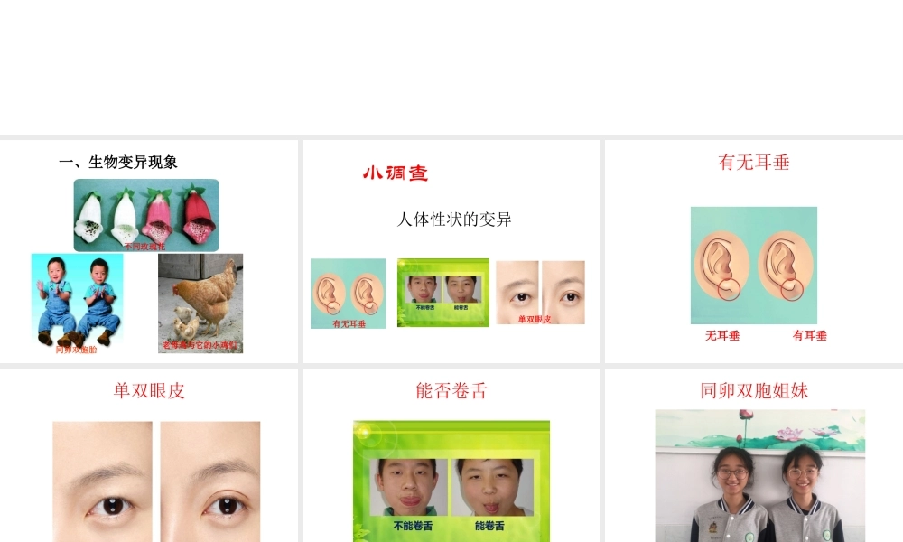 八年级生物下册 第八单元 生物的生殖、发育与遗传 第二十二章 生物的遗传和变异 第五节 生物的变异课件1（新版）苏教版-（新版）苏教版初中八年级下册生物课件