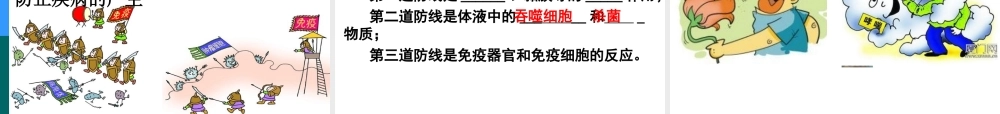 八年级生物下册 第23章 第1节 人体的免疫防线教学课件 苏科版-苏科版初中八年级下册生物课件