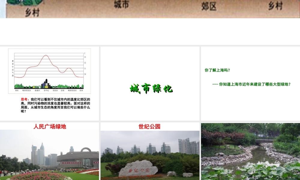 八年级生物下册 第6章 城市生态 6.1 城市生态与城市环境保护—城市绿化课件 沪教版-沪教版初中八年级下册生物课件