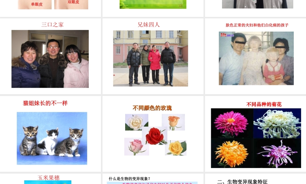 八年级生物下册 第八单元 生物的生殖、发育与遗传 第二十二章 生物的遗传和变异 第五节 生物的变异课件1（新版）苏教版-（新版）苏教级下册生物课件