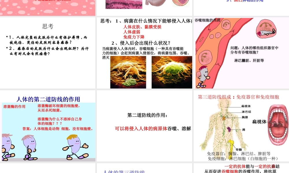 八年级生物下册 第23章 第1节 人体的免疫防线教学课件 苏科版-苏科级下册生物课件