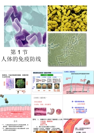 八年级生物下册 第23章 第1节 人体的免疫防线教学课件 苏科版-苏科级下册生物课件