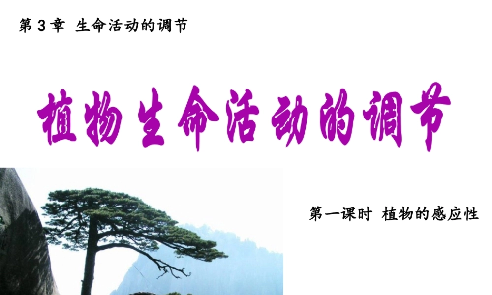 八年级科学上册 3.1 植物生命活动的调节（第1课时）课件 浙教版