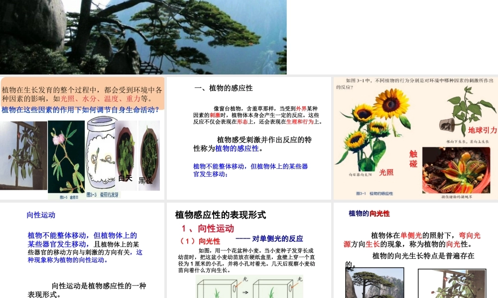 八年级科学上册 3.1 植物生命活动的调节（第1课时）课件 浙教版