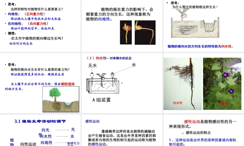 八年级科学上册 3.1 植物生命活动的调节（第1课时）课件 浙教版