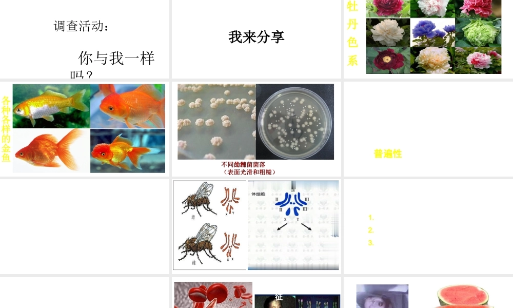 八年级生物下册 第八单元 生物的生殖、发育与遗传 第二十二章 生物的遗传和变异 第五节 生物的变异课件2（新版）苏教版-（新版）苏教版初中八年级下册生物课件