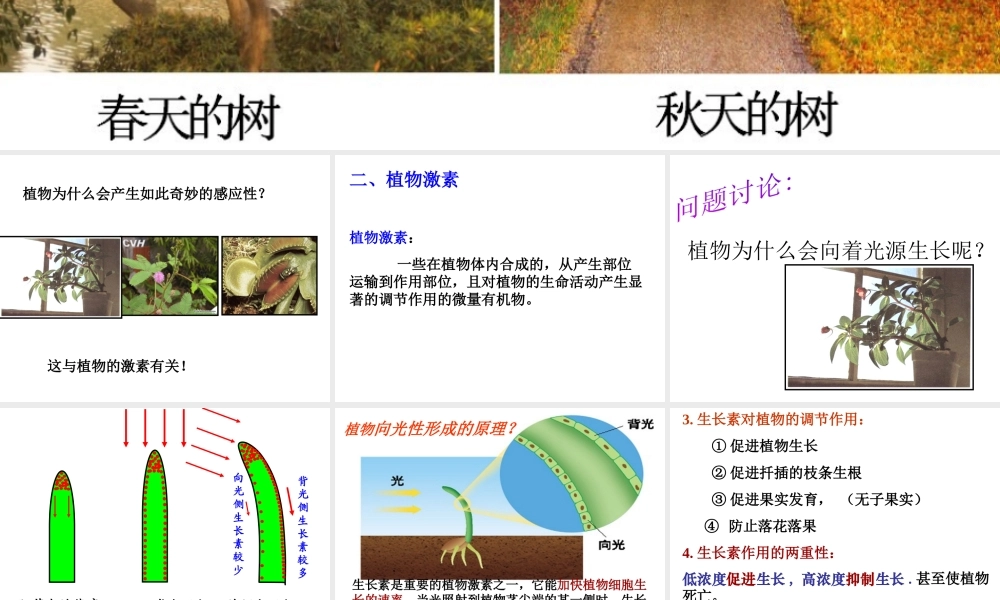 八年级科学上册 3.1 植物生命活动的调节（第2课时）课件 浙教版