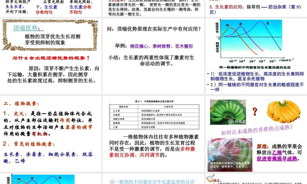 八年级科学上册 3.1 植物生命活动的调节（第2课时）课件 浙教版