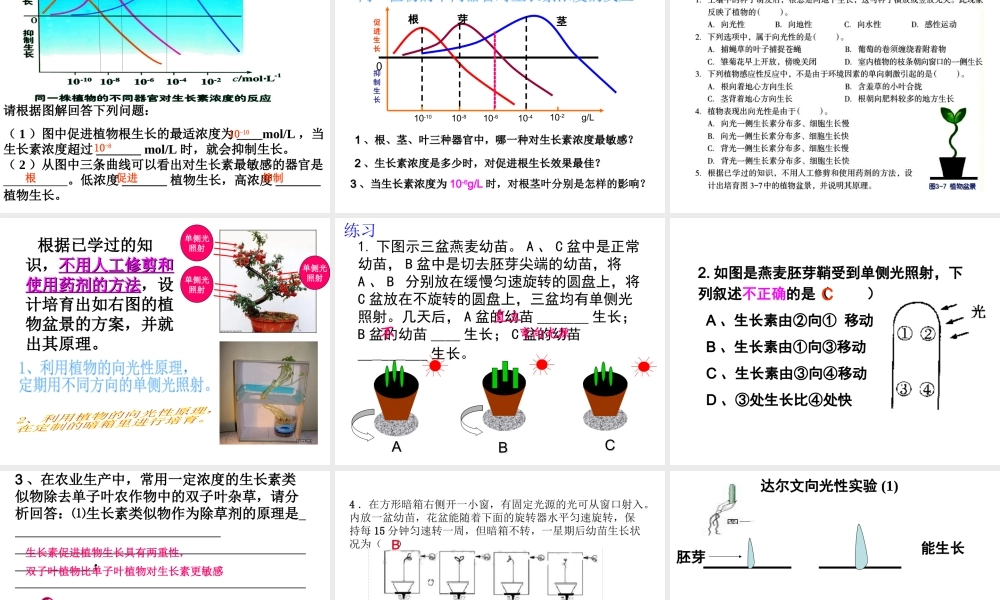 八年级科学上册 3.1 植物生命活动的调节（第2课时）课件 浙教版