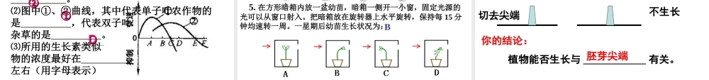 八年级科学上册 3.1 植物生命活动的调节（第2课时）课件 浙教版