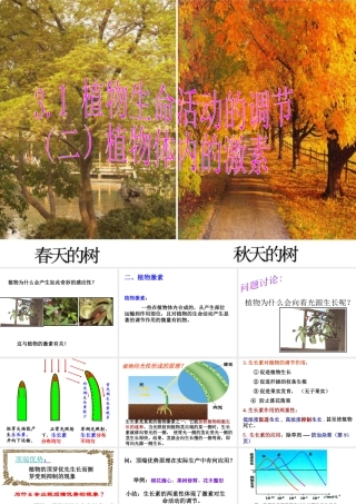 八年级科学上册 3.1 植物生命活动的调节（第2课时）课件 浙教版