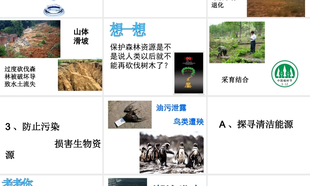 八年级生物下册 第9单元 保护人类与其他生物的公同家园 第26章 第3节《自然资源的可持续利用》教学课件 （新版）苏科版-（新版）苏科级下册生物课件