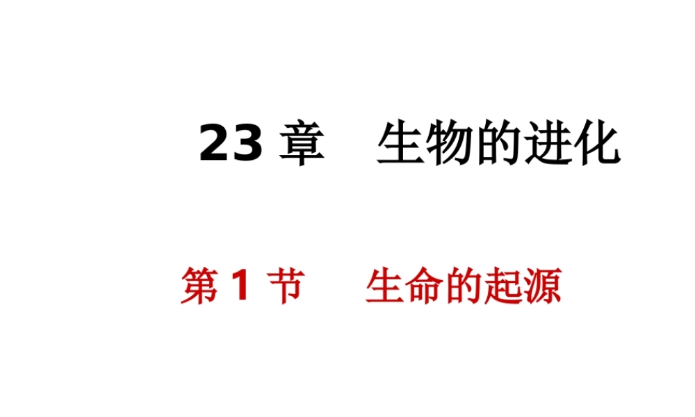 八年级生物下册 第23章 第1节 生命的起源课件 （新版）苏科版-（新版）苏科级下册生物课件