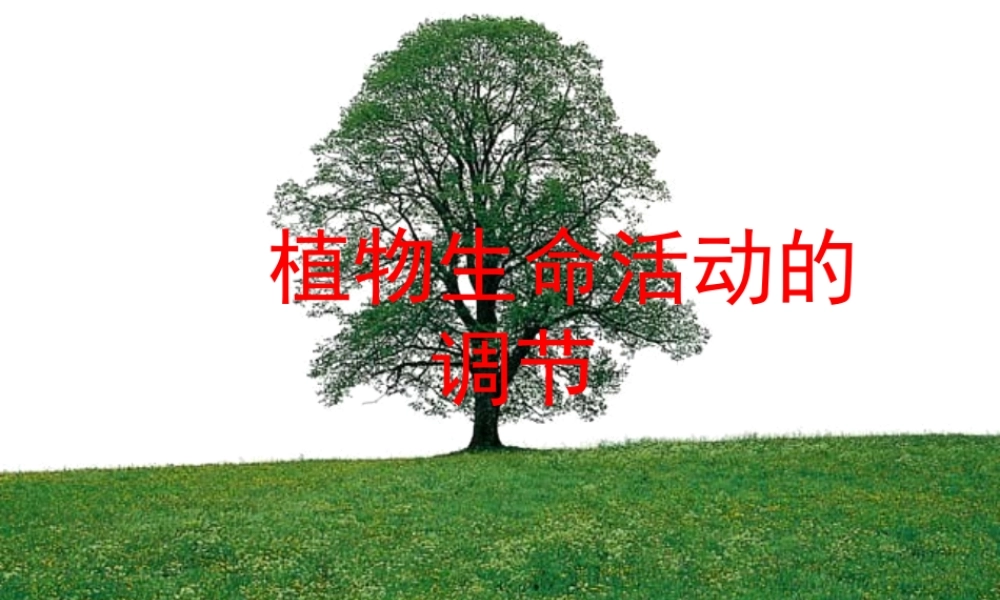 八年级科学上册 3.1 植物生命活动的调节课件1 浙教版-浙教版初中八年级上册自然科学课件