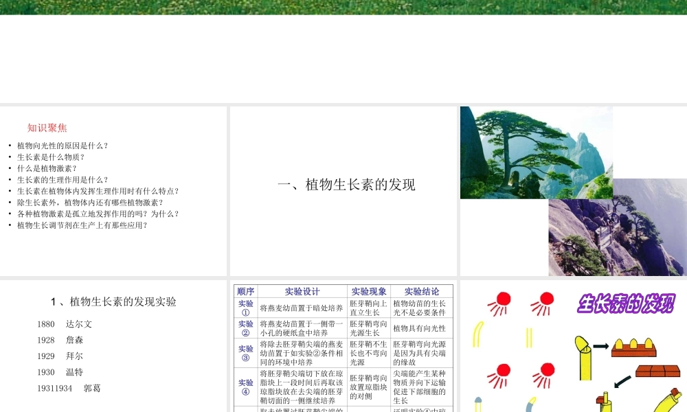 八年级科学上册 3.1 植物生命活动的调节课件1 浙教版-浙教版初中八年级上册自然科学课件