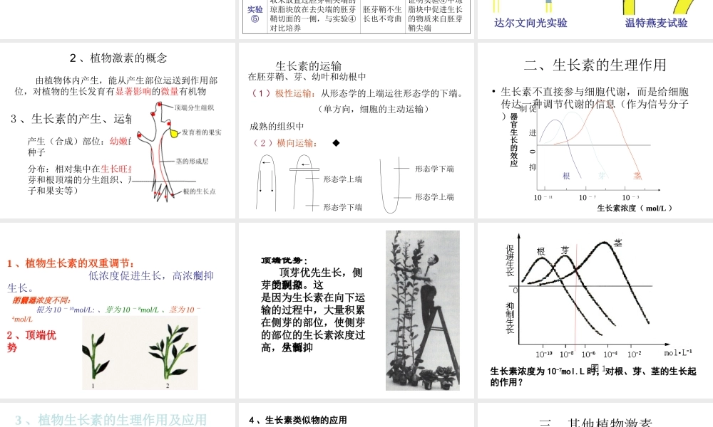 八年级科学上册 3.1 植物生命活动的调节课件1 浙教版-浙教版初中八年级上册自然科学课件
