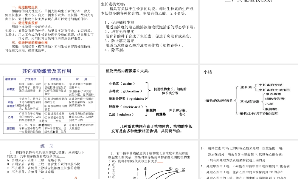 八年级科学上册 3.1 植物生命活动的调节课件1 浙教版-浙教版初中八年级上册自然科学课件