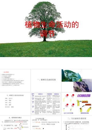 八年级科学上册 3.1 植物生命活动的调节课件1 浙教版-浙教版初中八年级上册自然科学课件