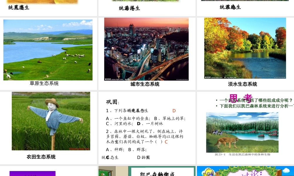 八年级生物下册 第23章 第1节 生态系统概述课件 北师大版-北师大版初中八年级下册生物课件