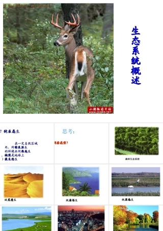 八年级生物下册 第23章 第1节 生态系统概述课件 北师大版-北师大版初中八年级下册生物课件