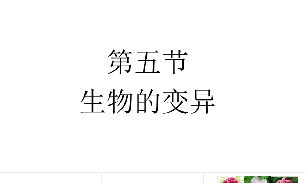 八年级生物下册 第八单元 生物的生殖、发育与遗传 第二十二章 生物的遗传和变异 第五节 生物的变异课件2（新版）苏教版-（新版）苏教级下册生物课件