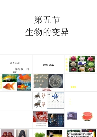 八年级生物下册 第八单元 生物的生殖、发育与遗传 第二十二章 生物的遗传和变异 第五节 生物的变异课件2（新版）苏教版-（新版）苏教级下册生物课件