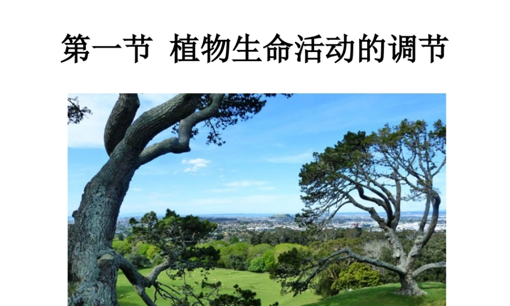 八年级科学上册 3.1 植物生命活动的调节课件3 浙教版-浙教版初中八年级上册自然科学课件