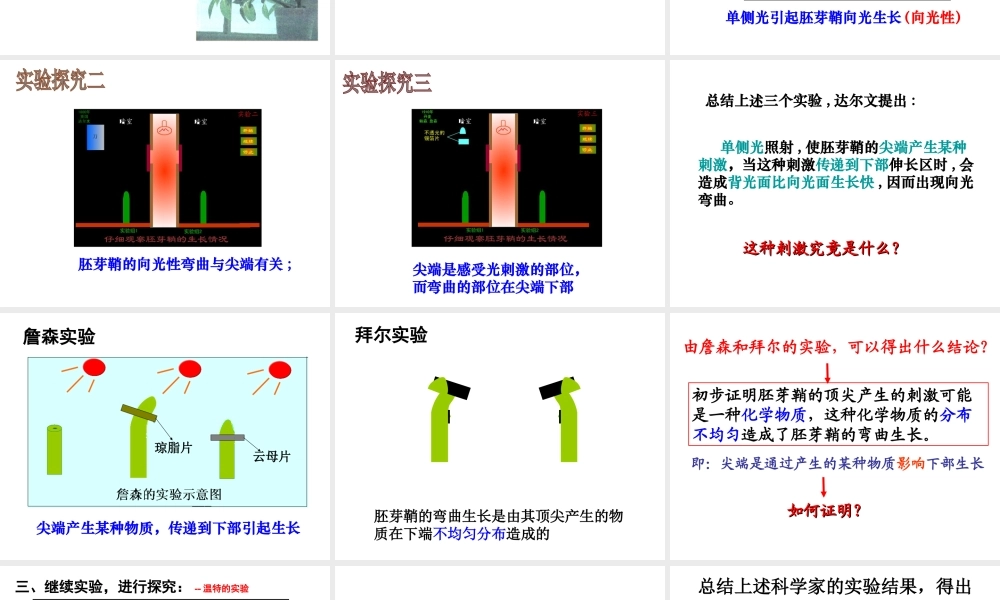 八年级科学上册 3.1 植物生命活动的调节课件3 浙教版-浙教版初中八年级上册自然科学课件