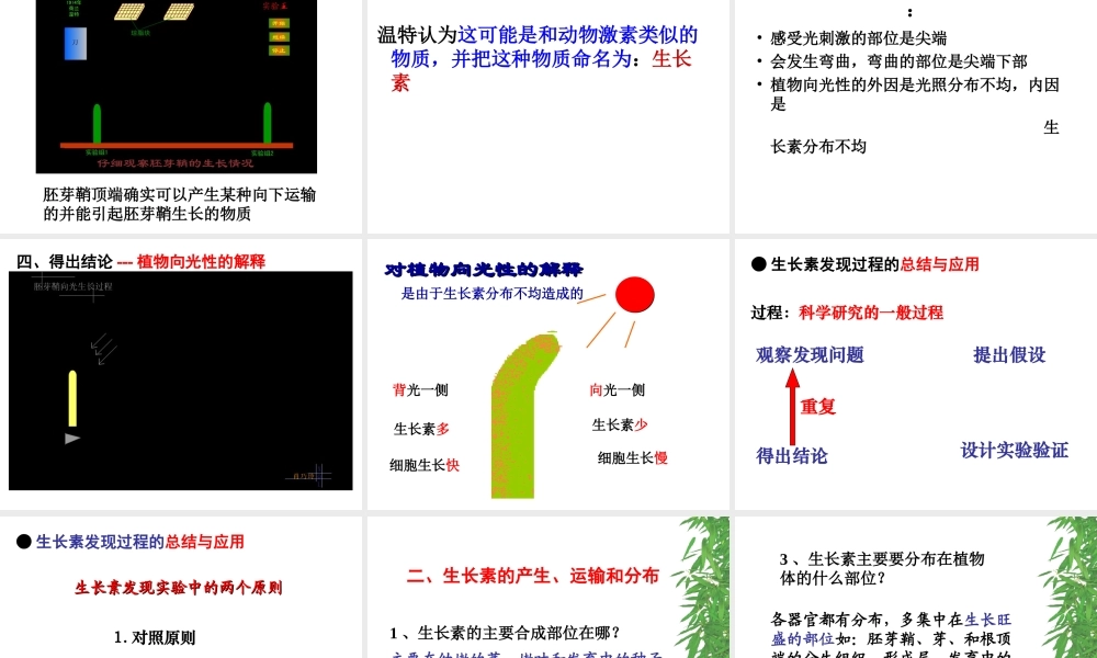 八年级科学上册 3.1 植物生命活动的调节课件3 浙教版-浙教版初中八年级上册自然科学课件