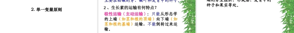 八年级科学上册 3.1 植物生命活动的调节课件3 浙教版-浙教版初中八年级上册自然科学课件