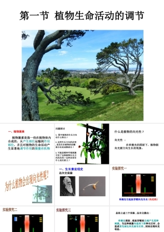 八年级科学上册 3.1 植物生命活动的调节课件3 浙教版-浙教版初中八年级上册自然科学课件